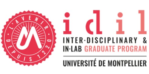 CampusFranceArgentina (@campusfrancearg) on Twitter photo 📢Te presentamos los 10 nuevos Masters <a href="/IDILProgram/">IDIL Graduate Program</a> de la <a href="/umontpellier/">Université de Montpellier</a> 🇨🇵:
✅️ En inglés
✅️ Becas (600 €/mes x 4 meses)
✅️ Gastos de viaje hasta 600 €
✅️ Prácticas remuneradas
✅️ Costos de matrícula bajos (300 €/año)
👉 idil.edu.umontpellier.fr 📢Te presentamos los 10 nuevos Masters <a href="/IDILProgram/">IDIL Graduate Program</a> de la <a href="/umontpellier/">Université de Montpellier</a> 🇨🇵:
✅️ En inglés
✅️ Becas (600 €/mes x 4 meses)
✅️ Gastos de viaje hasta 600 €
✅️ Prácticas remuneradas
✅️ Costos de matrícula bajos (300 €/año)
👉 idil.edu.umontpellier.fr
