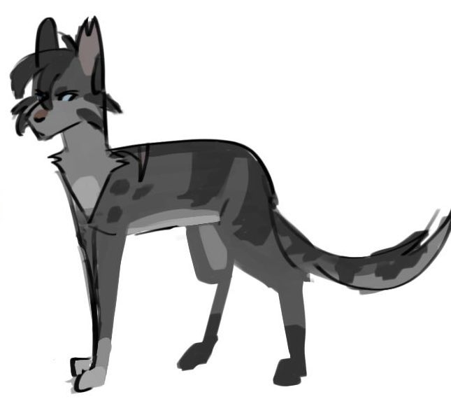 yudifyudif's tweet photo. @redwoodrot old but gold ashfur https://t.co/W9SuJU3plk