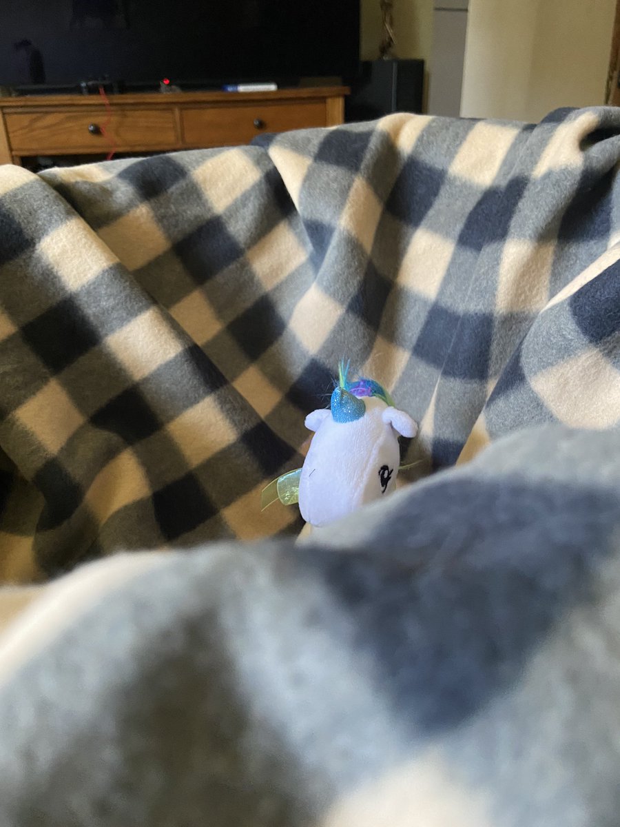 BooCatDaily's tweet photo. In todayโs Daily Boo, that time Momma got baby unicorns. #UnicornsOfTwitter #HappyTuesday https://t.co/mhskIvWxRU