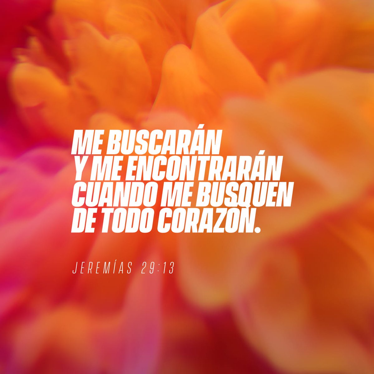 NuevoPactoSS's tweet photo. VERSÍCULO DEL DÍA | JEREMÍAS 29:13
Yo, quiero más de ti Jesús 🤍
#Versículo #NuevoPacto #Fructificar #Expansión https://t.co/GWig1DtXpA
