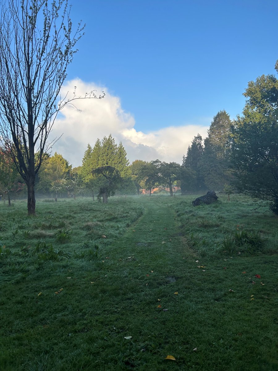 With short days and long nights, it’s important to get out and immerse yourself in nature whenever you can. At #ButePark, you can escape from busy city life and enjoy the tranquillity of being surrounded by wildlife.