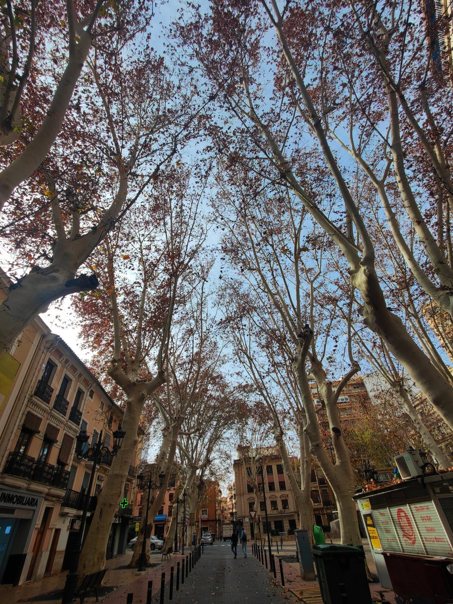 JLGLlagues's tweet photo. Streets of Xàtiva #xàtiva #lacostera #streets #streetstyle #streetphotography #callejero #callejeando #picsoftheday #mobilephotography #photooftheday #phonography #oppofindx2pro https://t.co/2Up2CubCCQ
