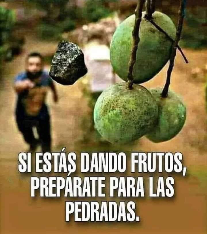 EnsedeCiencia's tweet photo. La frase del día. https://t.co/7f3jbysVOS