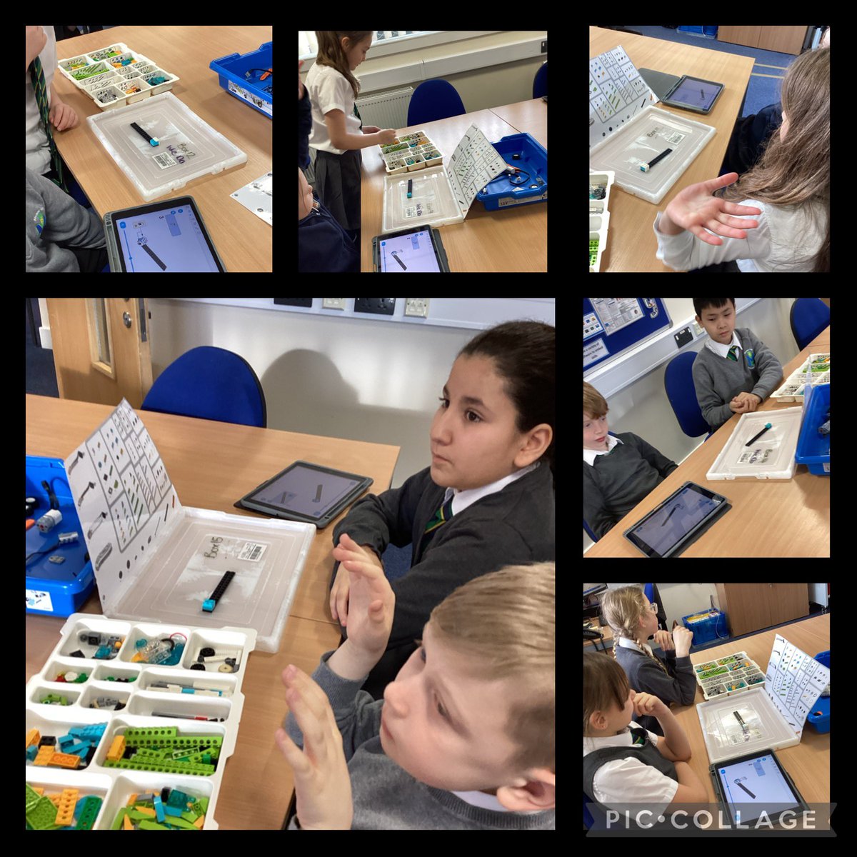 🦜Miss Middleton 🦜Year 4 Macaws🦜 tweet media