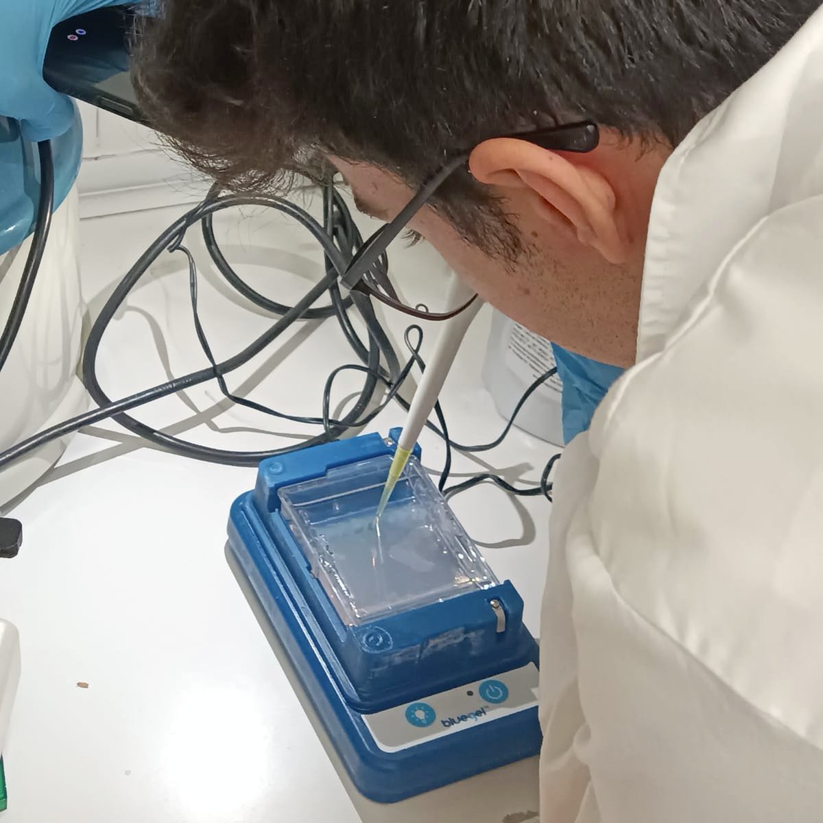 LCATMon's tweet photo. Estudiantes y profesorado del colegio Tecla Sala #Hospitalet en la actividad de validación experimental de #Transposones #CitizenFlyLab del proyecto de #cienciaciudadana #MelanogasterCTF de
@GonzalezLab_BCN (@CSIC) @LCATMon
@FECYT_Ciencia @Dros_EU @mirimerenciano @scasillasv (@UAB)