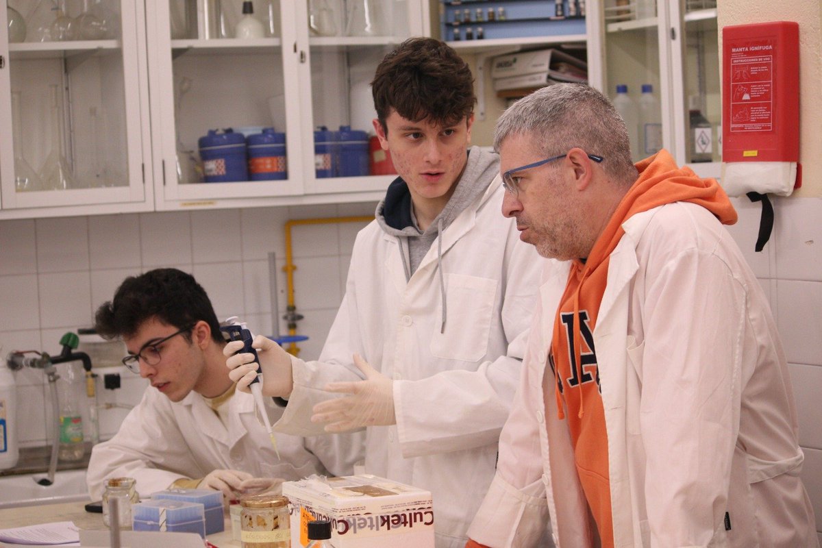 LCATMon's tweet photo. Estudiantes y profesorado del colegio Tecla Sala #Hospitalet en la actividad de validación experimental de #Transposones #CitizenFlyLab del proyecto de #cienciaciudadana #MelanogasterCTF de
@GonzalezLab_BCN (@CSIC) @LCATMon
@FECYT_Ciencia @Dros_EU @mirimerenciano @scasillasv (@UAB)