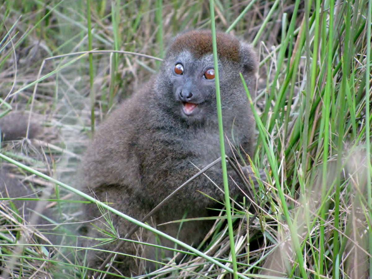 Just two days before our first meeting of 2024... who's excited? 👀 #PSGB2024