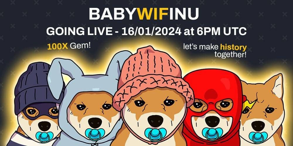 Baby Wif Inu tweet media