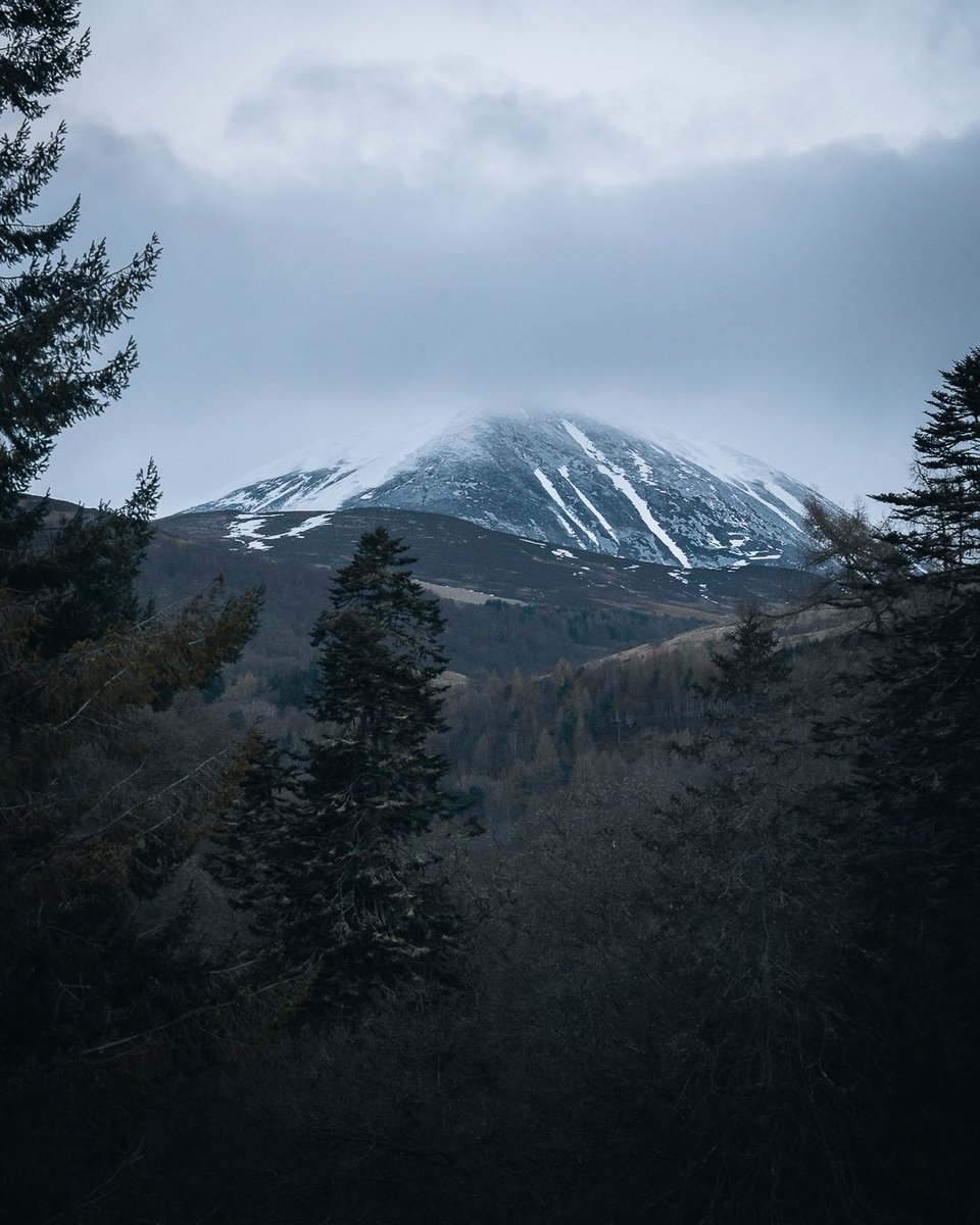 Andie Roberts tweet media