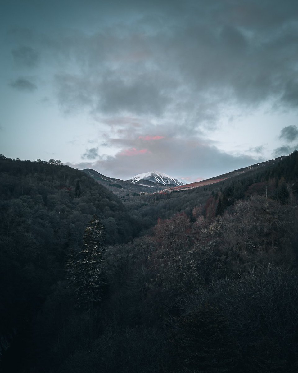 Andie Roberts tweet media