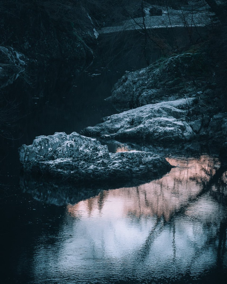 Andie Roberts tweet media