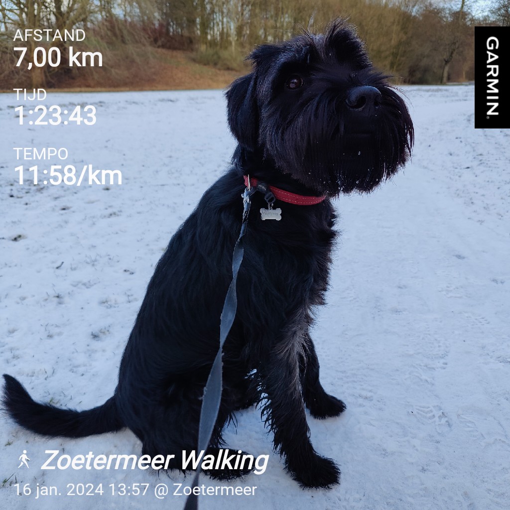 Winter Wonder Walk Wolfgang! #garmin #beatyesterday