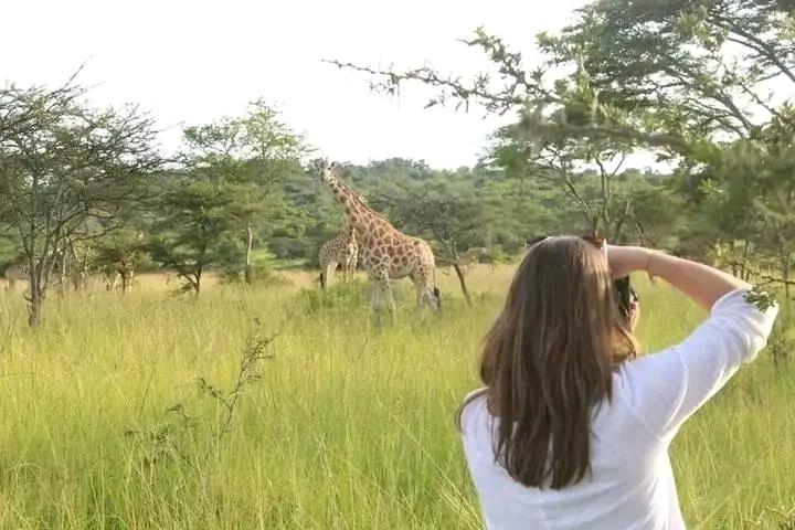 #BreathtakingUganda
What does it feel like going on an African #wildlifesafariholiday in Uganda? Guess what! It's always unforgettable moments of exploration, discovery and ultimate fun in the wild during the morning game drive.
trionsafaris.com/tour-packages/ ..