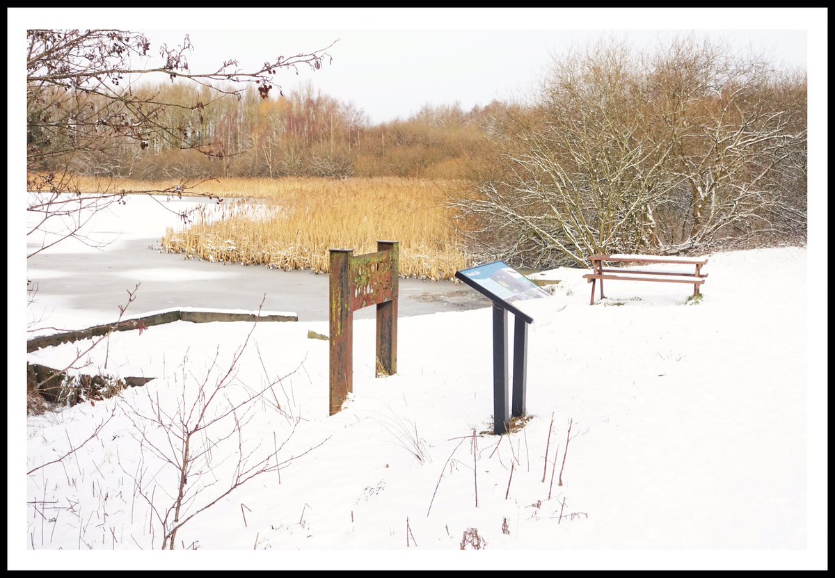 John Barton tweet media