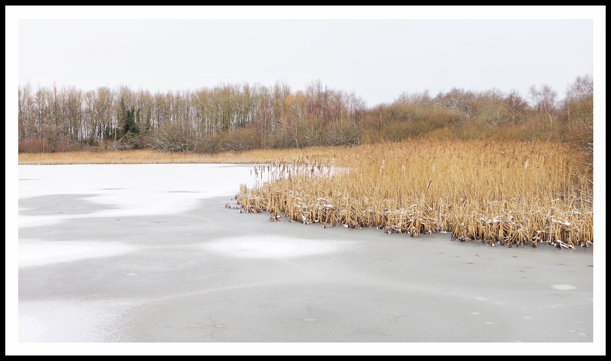 John Barton tweet media