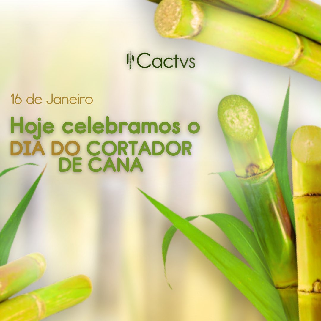 CactvsSa's tweet photo. Reconhecemos e homenageamos o trabalho árduo e essencial dos cortadores de cana, que contribuem significativamente para a economia do Nordeste.

Agradecemos a cada cortador de cana por sua contribuição para o desenvolvimento da nossa região. https://t.co/oIQFAWOBK8