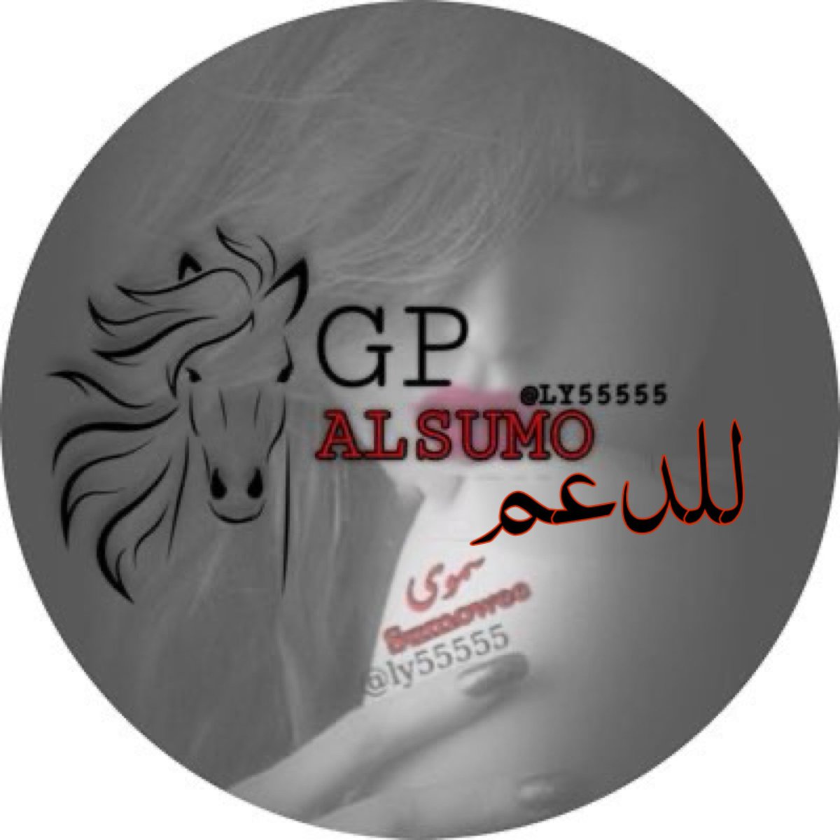 ‏⚜️ ﮼فرز ﮼السمو. ⚜️ tweet media