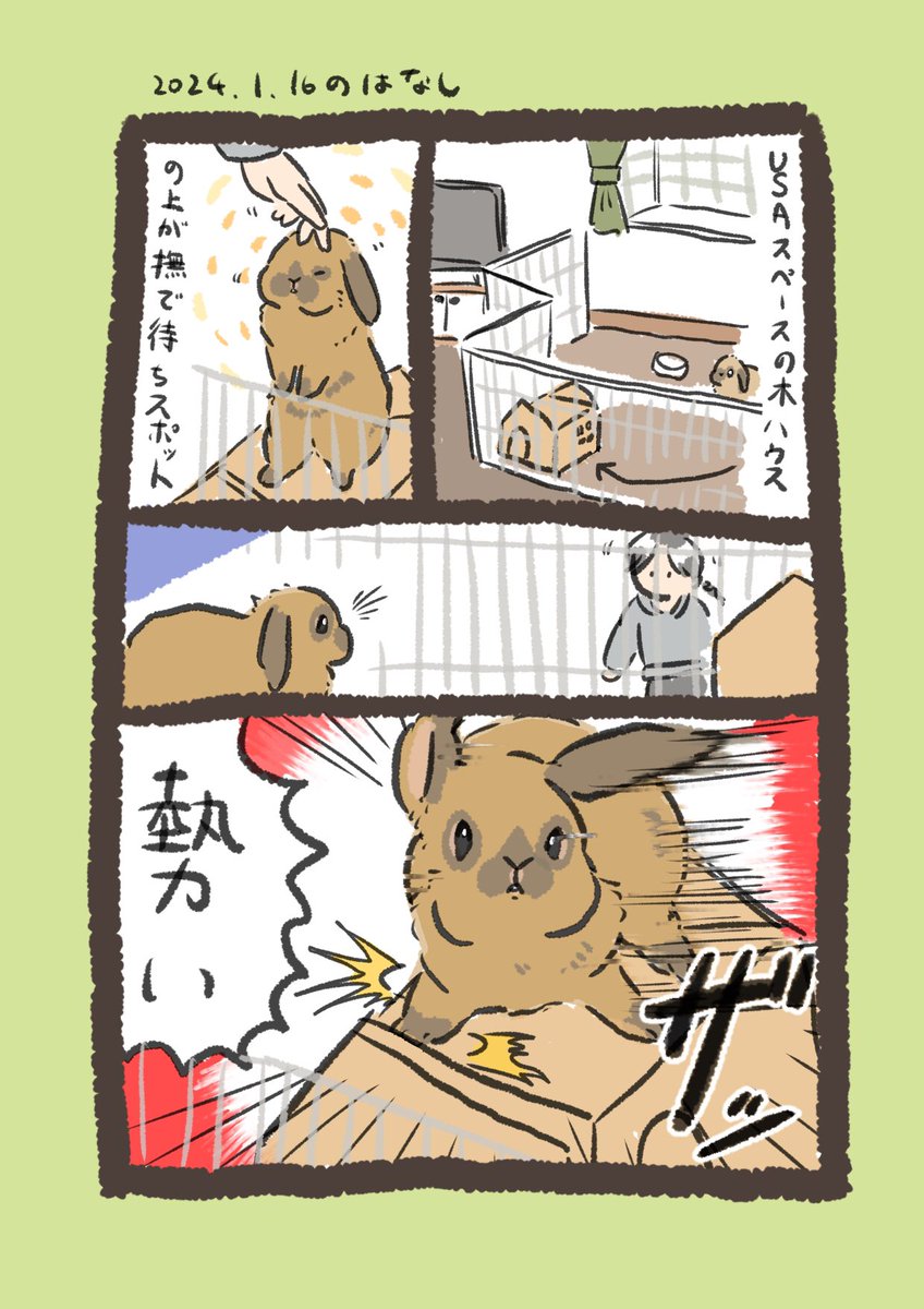 スピーディ待機

#うさぎのいる生活 