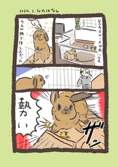 スピーディ待機

#うさぎのいる生活 
