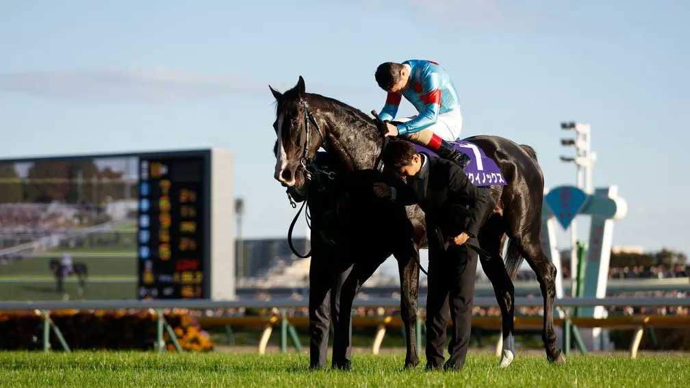 SyndicatesHQ's tweet photo. 🏇 The Tuesday Take: Ever been captivated by an ad in a language you don't understand? That's what happened to me with a Japanese racing ad. Let's dive into why it was so impactful. https://t.co/ThriEHt2qp