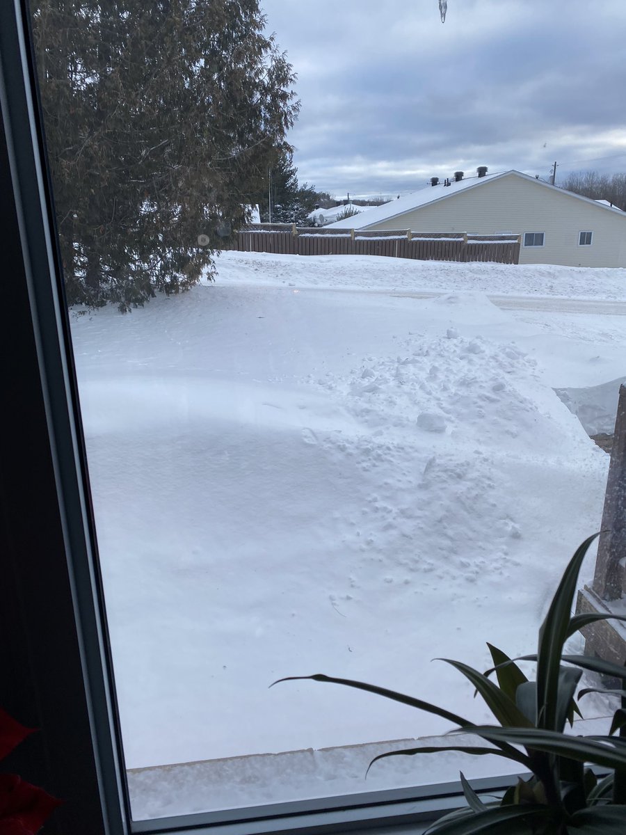 BareisCelia's tweet photo. @Laurenbackup88 Wind chill of -18C and a wee bit of snow. But it’s Canada, so nothing new. ❄️😍🇨🇦 https://t.co/pbVkSLFycK