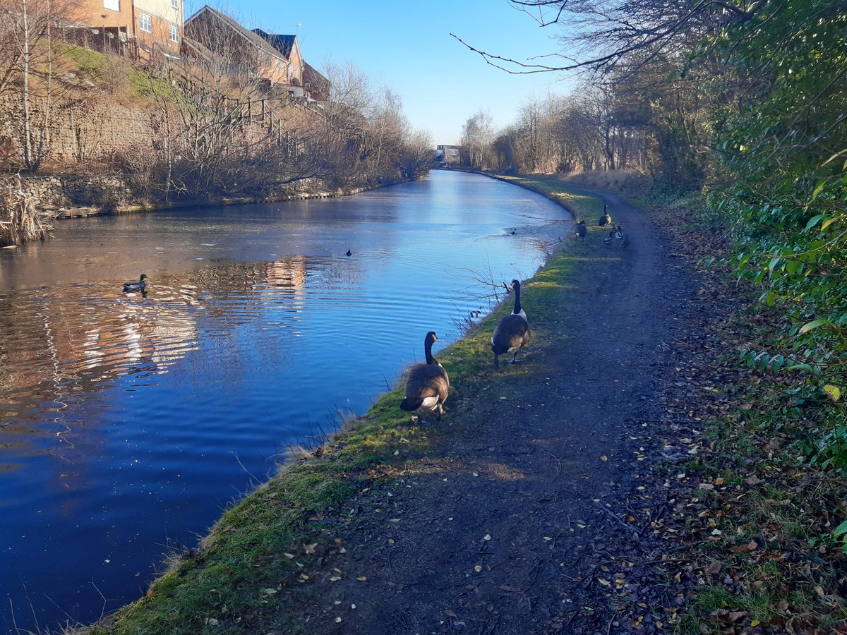 Our first Let's Mindfulness Walk of the year in Galton Valley Canal Smethwick. Nothing good like a good walk 🚶‍♀️enjoying the natural along your way away from the hustle and bustle of urban life. #communityroots #KeepCanalsAlive  #letswalk <a href="/CRTWestMidlands/">Canal & River Trust West Midlands</a>
