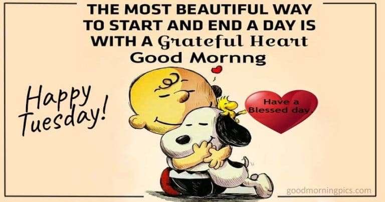 Kim Lawrence (@kimlaw1956) on Twitter photo 