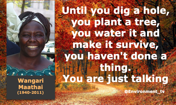 Environment_tv's tweet photo. Incredible, and very truthful, quote from the sadly missed #Kenyan #environment and #forest campaigner Wangari Maathai. It is no surprise this brilliant intellectual became the first #African Woman to win the #Nobel #PeacePrize. https://t.co/BiLaU4kZny