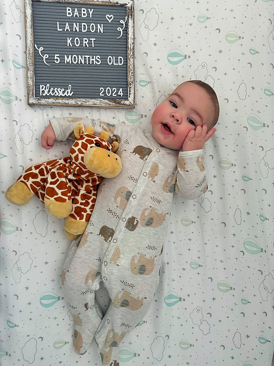 Athena Kort tweet media