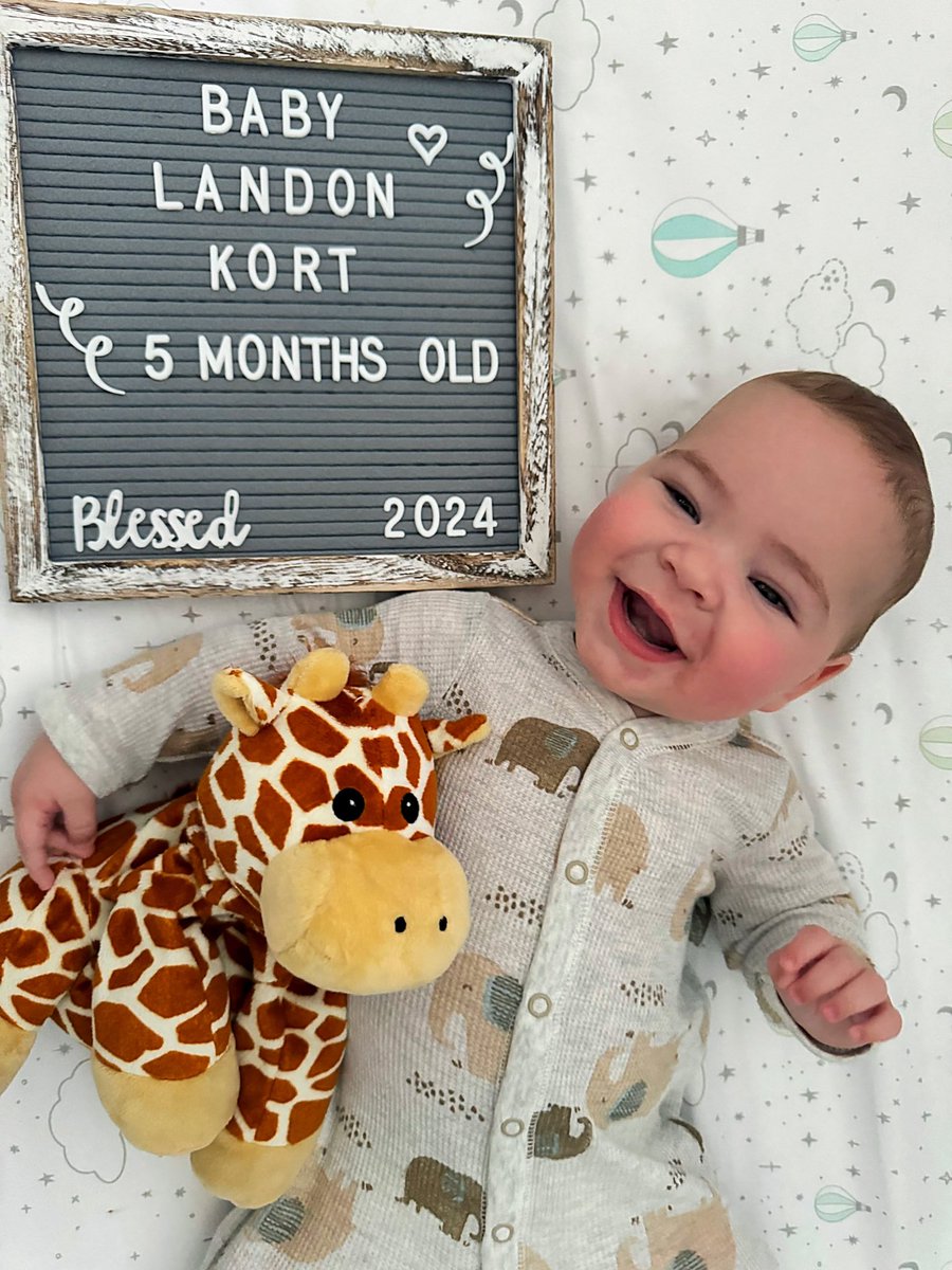 Athena Kort tweet media