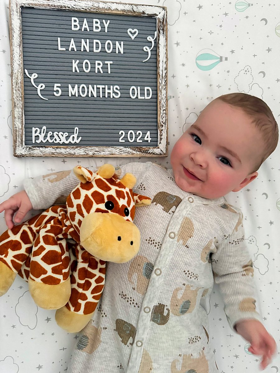 Athena Kort tweet media