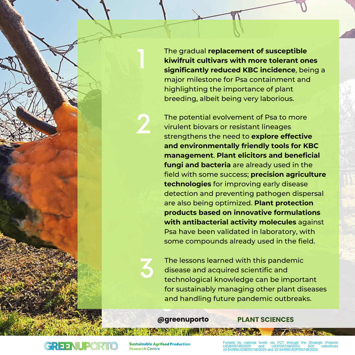 GreenUPorto's tweet photo. New paper in @FrontiersIn #Plant #Science :
🌱«Scientific and technological advances in the development of #sustainable #disease management tools: a case study on #kiwifruit bacterial #canker» 🥝
by Miguel G. Santos et al 📰
Read it at https://t.co/Er0VabXpK0 https://t.co/zYjcuYEnMs