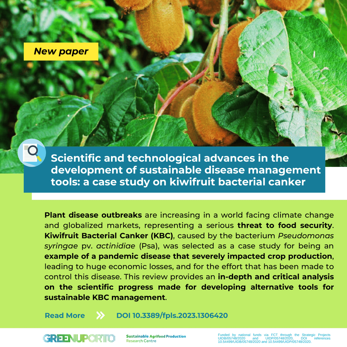 GreenUPorto's tweet photo. New paper in @FrontiersIn #Plant #Science :
🌱«Scientific and technological advances in the development of #sustainable #disease management tools: a case study on #kiwifruit bacterial #canker» 🥝
by Miguel G. Santos et al 📰
Read it at https://t.co/Er0VabXpK0 https://t.co/zYjcuYEnMs