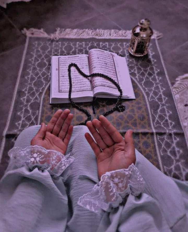 پریشانیاں تو ہزار ہے پر سکون دینے والا صرف میرا اللہ ہے 
بیشک♥️🥀
