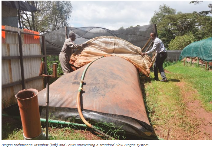 Flexi_Biogas's tweet photo. 🌟 Exciting News! 🌐✨

Biashara Leo Magazine, a business insights trailblazer, spotlights our #FlexiBiogas Technology!

🚀 Dive in to discover how we're turning #waste into a potent source of #cleanenergy.
https://t.co/U3IIwj66yl via @BiasharaLeoMag https://t.co/GZg6J4gRkH