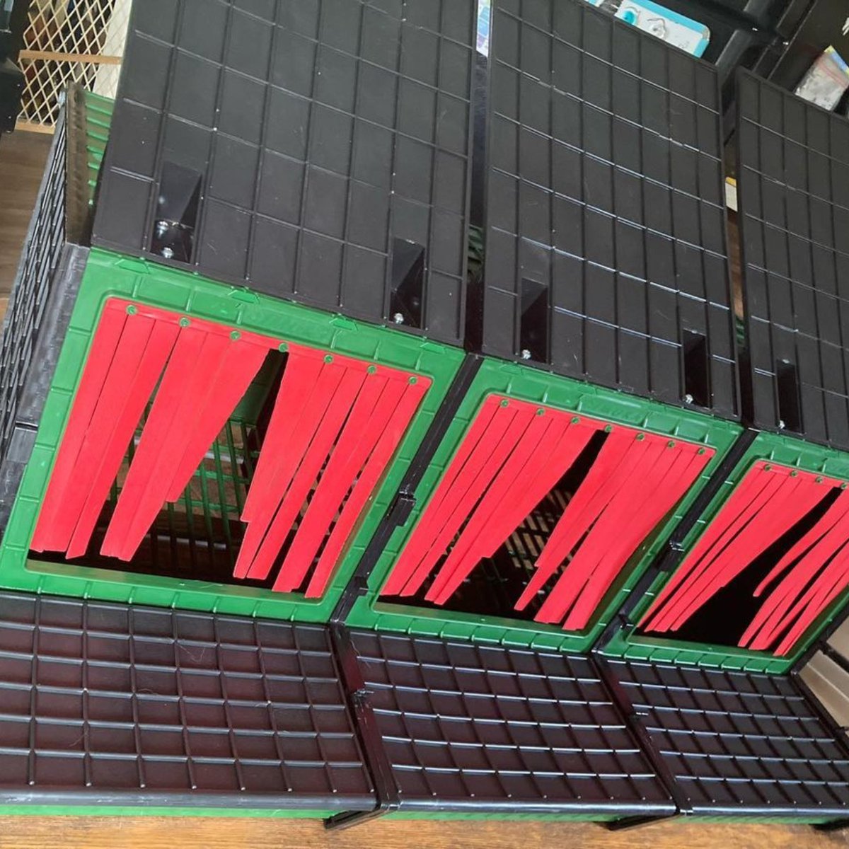 HatchingTime's tweet image. 🐔 Elevate your feathered friends' comfort with our Nesting Boxes! 🏡 

Big thanks to instagram.com/mothernaturevip for the photo!

Check out our Nesting Boxes Today!  hatchingtime.com/collections/ne…

#HatchingTime #HappyHens #NestingBoxes