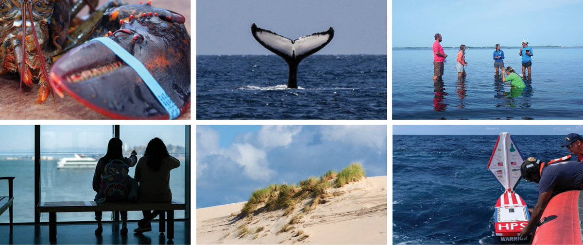 MITSeaGrant's tweet photo. Congrats to the new cohort of STREAM Grant awardees! The 2024 projects support coastal education and citizen science with a diversity of MA partners and communities. MIT Sea Grant also funded two additional research-focused projects from our 2023 cycle: https://t.co/kF19ccpdit https://t.co/8PuUC7aepI