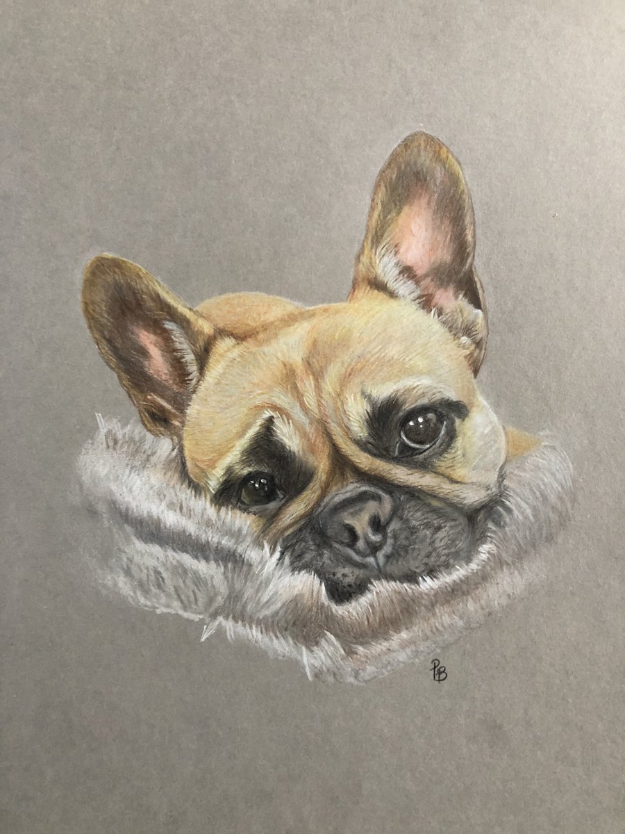 P13PGA's tweet photo. @laura_woodsy hope you like my drawing of your beautiful pup Lu😊 https://t.co/XPpNzoAcfB