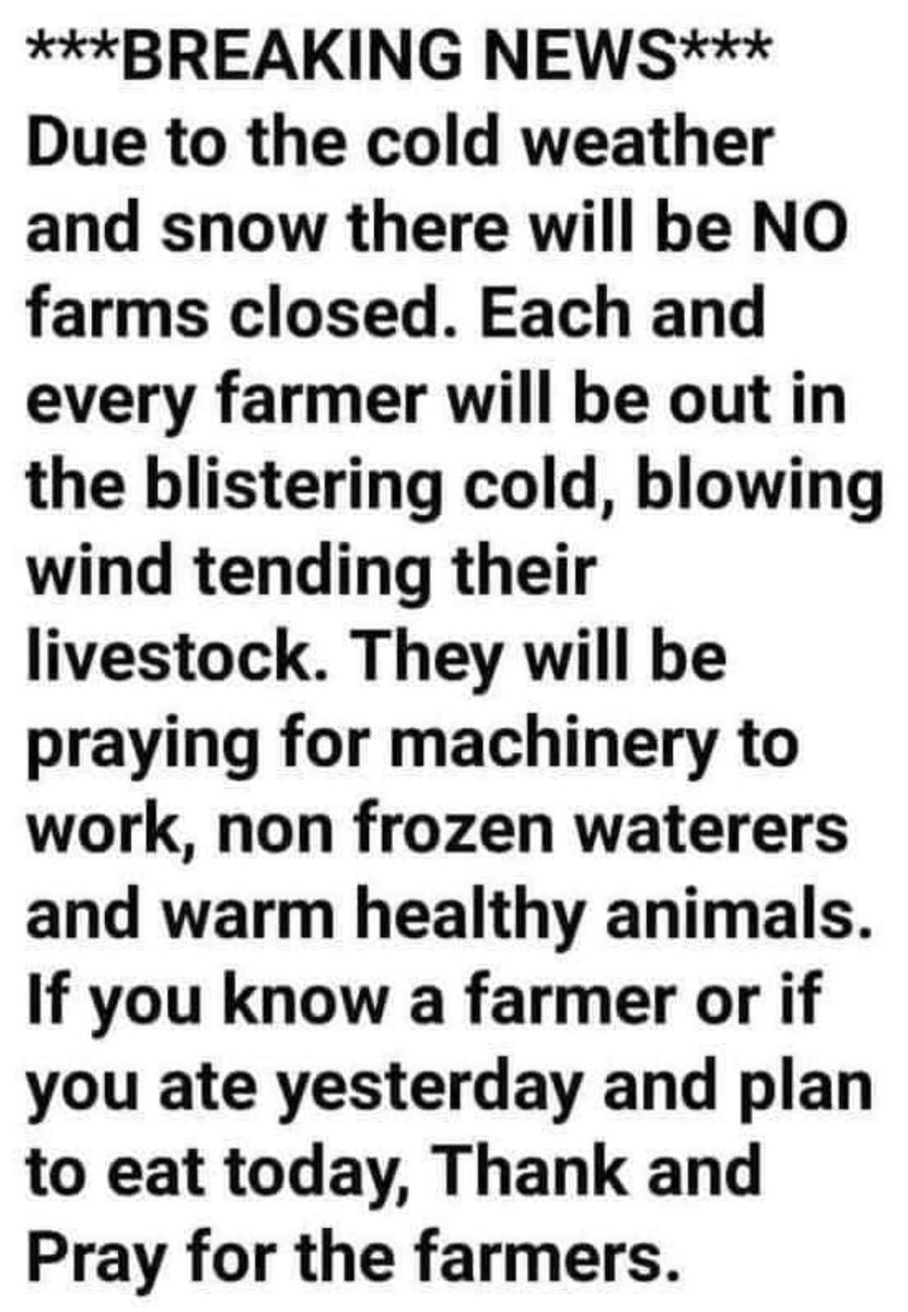 DanHeinIA's tweet photo. 🥶👏🙏 https://t.co/uceWxBzE3d