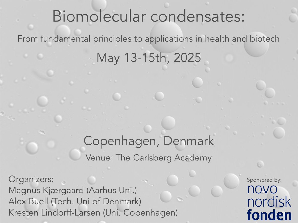 Magnus Kjaergaard (@proteinmagnus) on Twitter photo SAVE THE DATES! 🍝🍻
We have received funding from <a href="/novonordiskfond/">Novo Nordisk Foundation</a> to host our dream meeting about biomolecular condensates in Copenhagen in May 2025.
Speaker list will be revealed later, but I can promise you it will be stellar!
(w. <a href="/LindorffLarsen/">Kresten Lindorff-Larsen</a> and <a href="/alexander_buell/">Alexander Buell</a>) SAVE THE DATES! 🍝🍻
We have received funding from <a href="/novonordiskfond/">Novo Nordisk Foundation</a> to host our dream meeting about biomolecular condensates in Copenhagen in May 2025.
Speaker list will be revealed later, but I can promise you it will be stellar!
(w. <a href="/LindorffLarsen/">Kresten Lindorff-Larsen</a> and <a href="/alexander_buell/">Alexander Buell</a>)