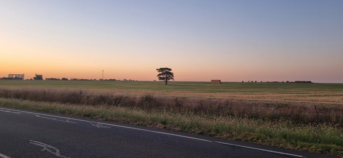 //I'm really sorry for the long waits on rp replies, just really busy at work rn 😭😭😭 I'm trying my best. 

Here is a photo I took to help make up for it hopefully 😭😭