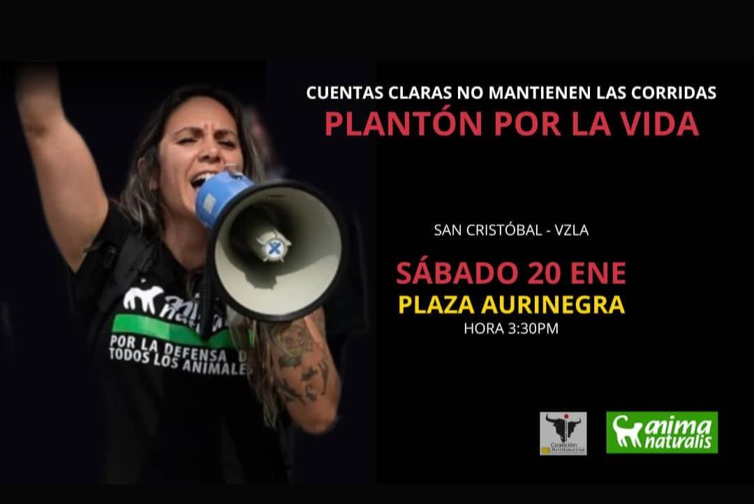 AnimaNaturalis's tweet photo. 🐃🇻🇪 ¡PLANTÓN EN SAN CRISTÓBAL!

Exigiremos cuentas claras por unas #FeriasSinCrueldad. Ferias y fiestas donde no se incluyan espectáculos crueles con animales como lo son las corridas de toros, el coleo y las cabalgatas.

🗓 Sábado 20 enero 2024
⏰️3:30 PM
📍Plaza Aurinegra (Redoma de los arbolitos) San Cristóbal, Venezuela.

👉 Lleva una franela blanca o negra o la franela del Deportivo Táchira, tu cartel o pancarta. Recuerda que es una actividad totalmente pacífica.

Contacto: tachira@animanaturalis.org