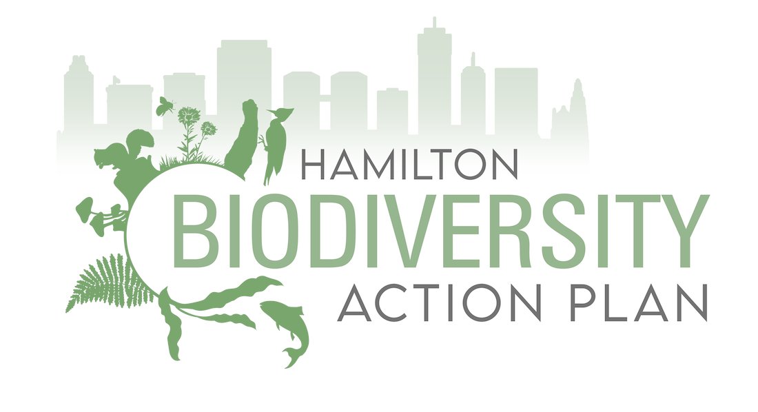 Protect, Explore, Connect, Restore. Learn how City of #Hamilton and partners are working to protect local #biodiversity through the development of a BAP (Biodiversity Action Plan). Read more at biodiversityeducation.ca/blog/hamiltons…