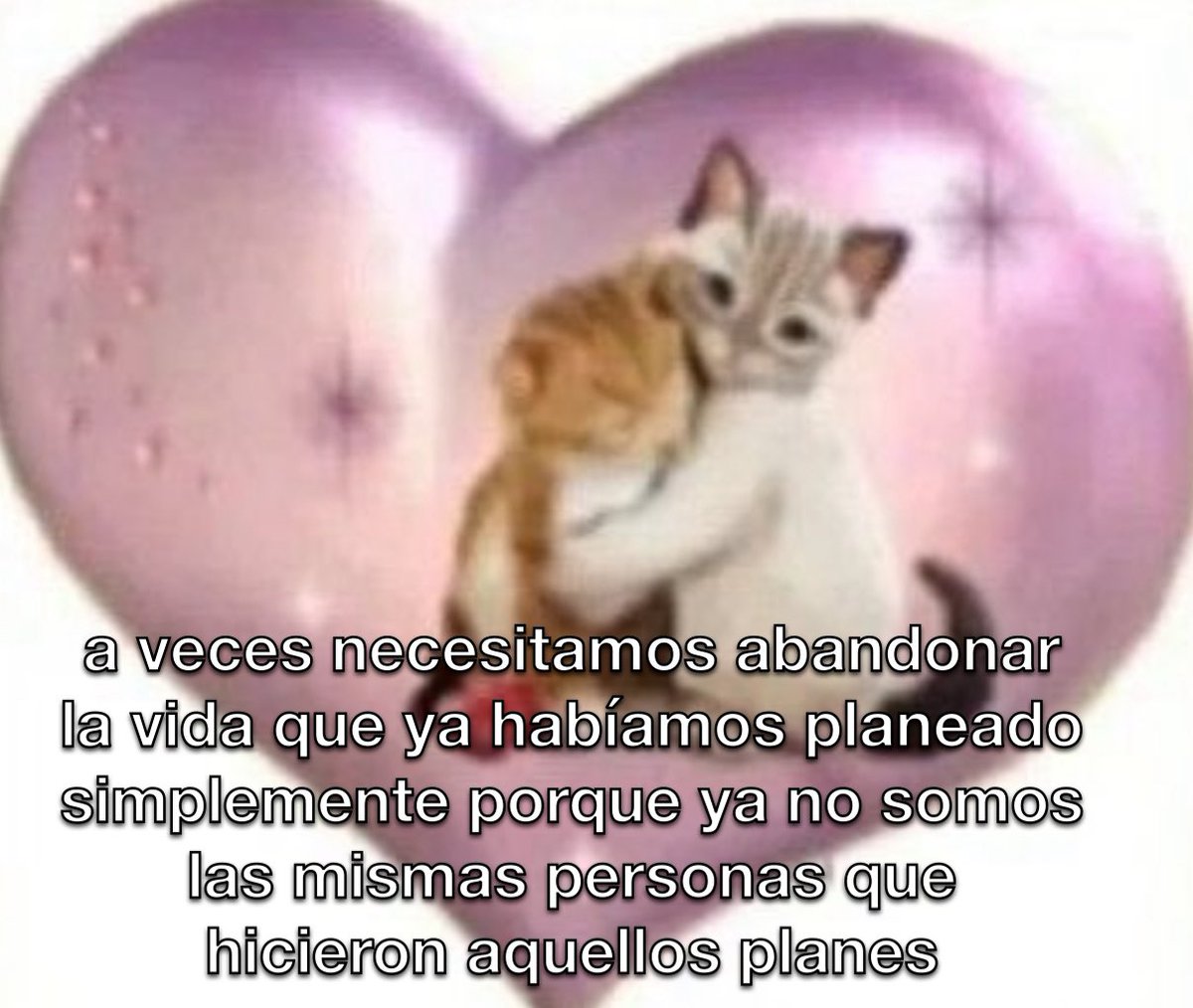 conoloracigarro's tweet photo. a veces 🫂 https://t.co/Yg8AWe4kbd