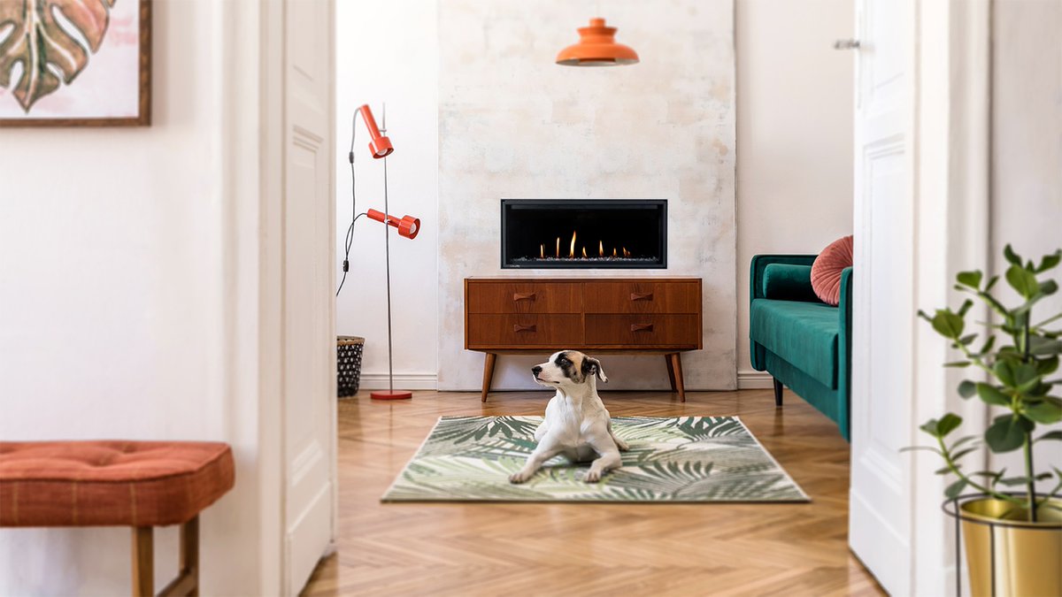 Woodland_Direct's tweet image. Make your home more inviting with the Montigo Delray Direct Vent Gas Fireplace! Its clean, modern design matches any home decor and delivers reliable warmth for hours.

bit.ly/3HlvVGs

#athomewithwoodland #gasfireplaces #directventfireplace #indoorfireplace