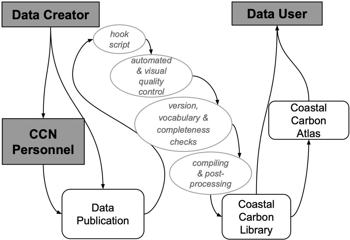 OUT NOW The Coastal Carbon Library and Atlas: Open source soil data and tools supporting blue carbon research and policy 📄 onlinelibrary.wiley.com/doi/full/10.11… @CoastalCarbon