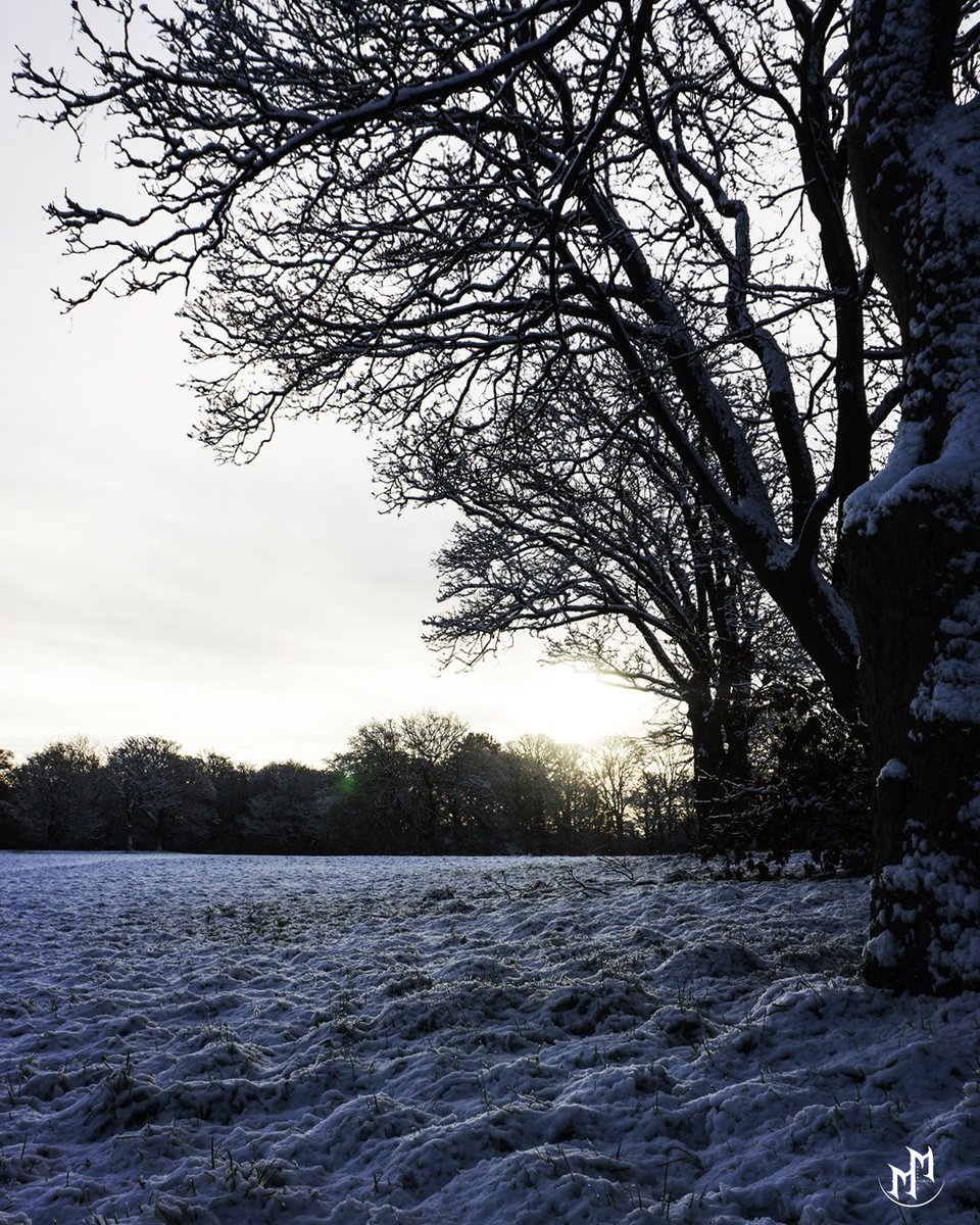 Pete Mitchell tweet media