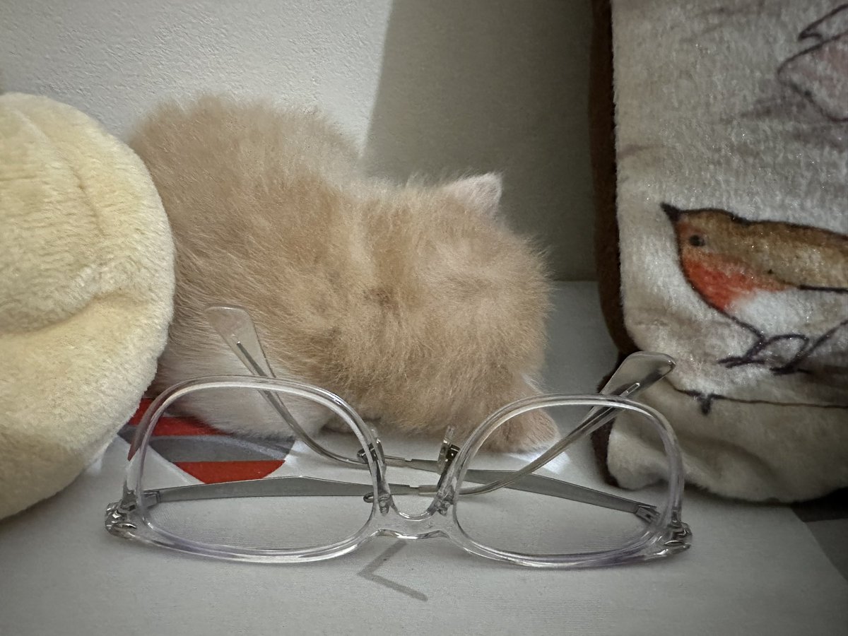vinadok's tweet photo. @junoaggy @CoffeedCat Salah satu bayik lagi ac-an 🥰 https://t.co/Ek3XpqAoeD