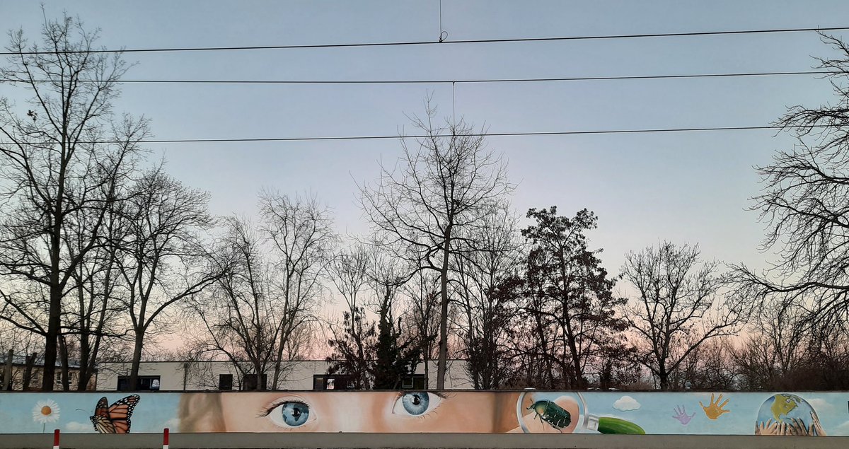 "onlar da bizim gibi sarışın, mavi gözlü"