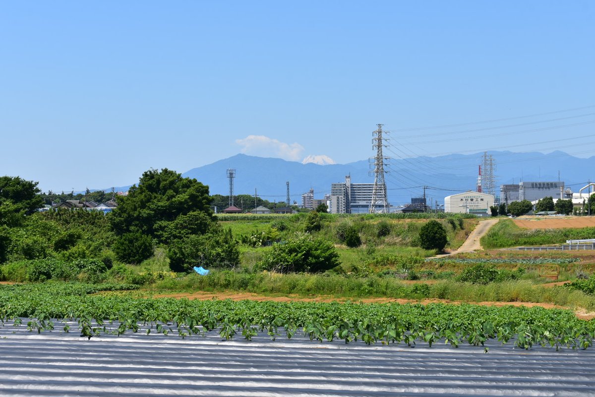 どちらも横浜市